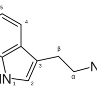 tryptamine