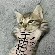 cl0nee