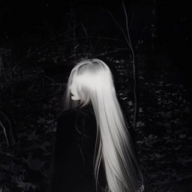 XdcxX24
