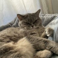 BugraBerkk