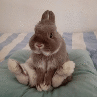 loofftyy