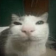 Raxem