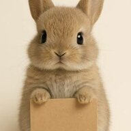 alittlerabbit